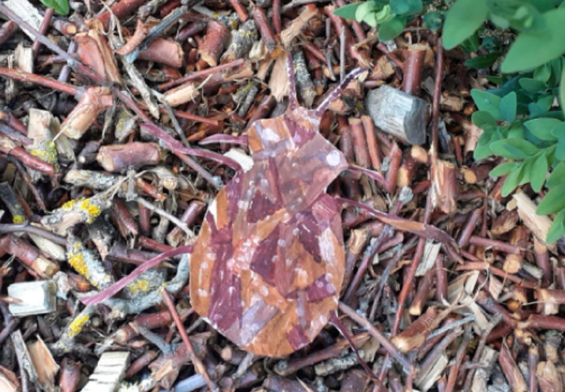 2020 05 17 Mimesekunst4