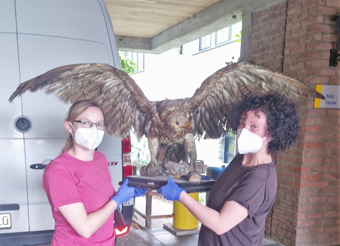 2023 05 15 Präparate1