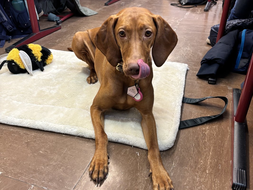 2025 02 14 Alvabeschreiben7