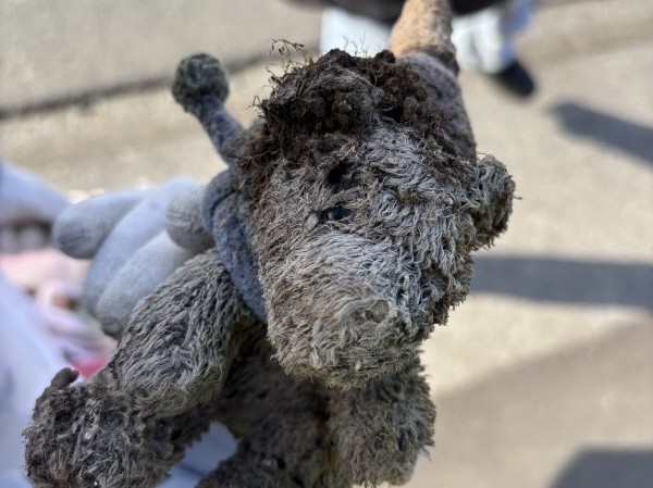 2025 03 07 Frühjahrsputz7