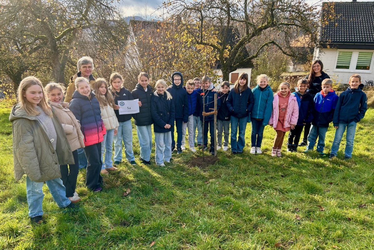 2025 11 24 Klassenbaum1